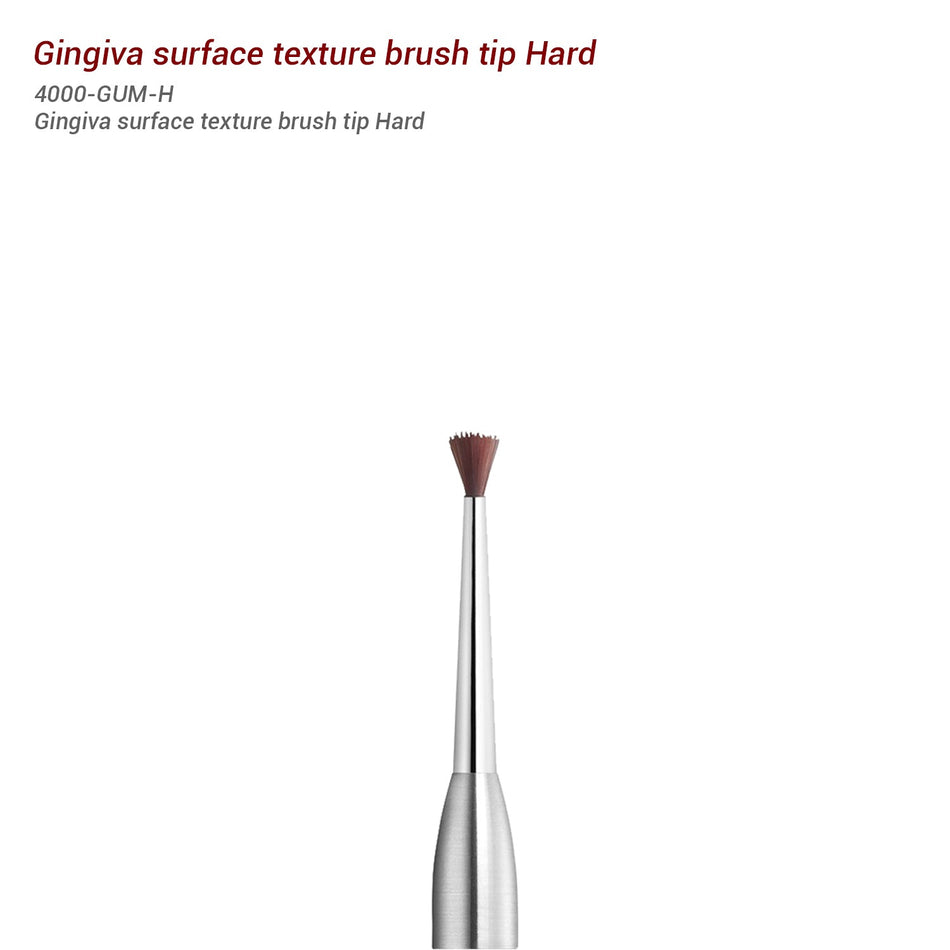 Gum Brush Tip - Gingiva Brush Tip