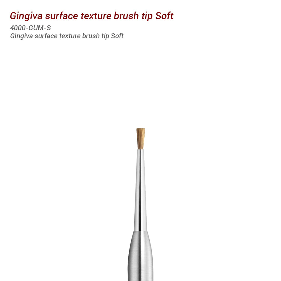 Gum Brush Tip - Gingiva Brush Tip