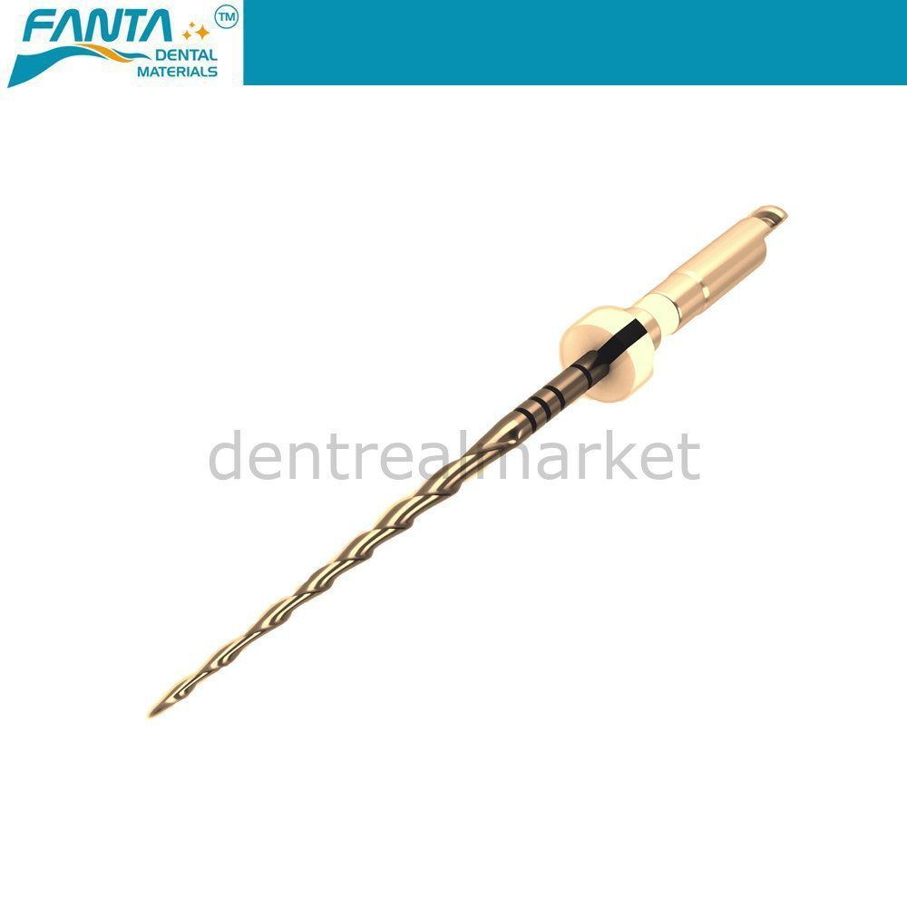 Fanta Dental - AF R3 Gold File Reciproc - Niti Rotary Root File