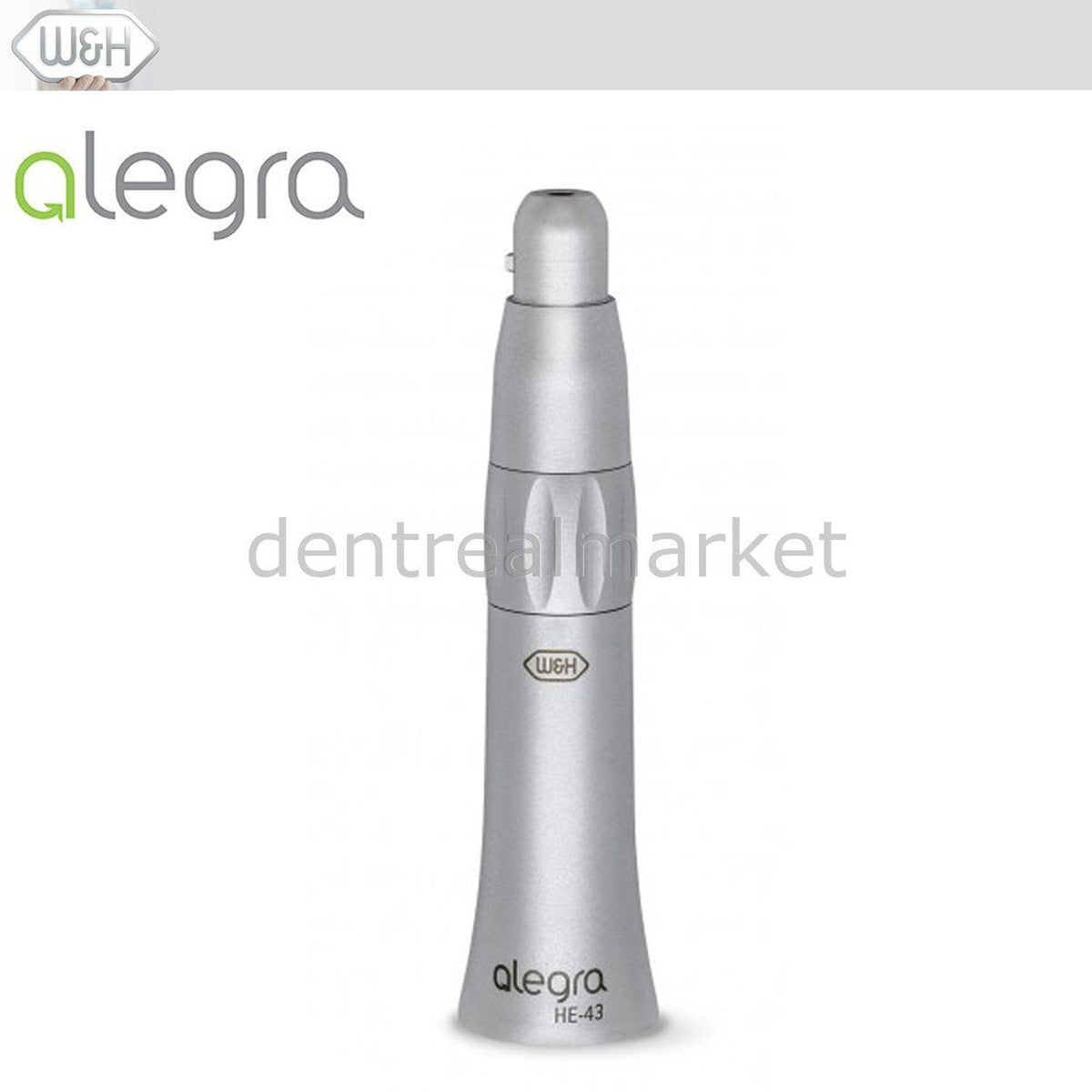 W&H Dental - Alegra Steel Bearing Handpiece - HE - 43