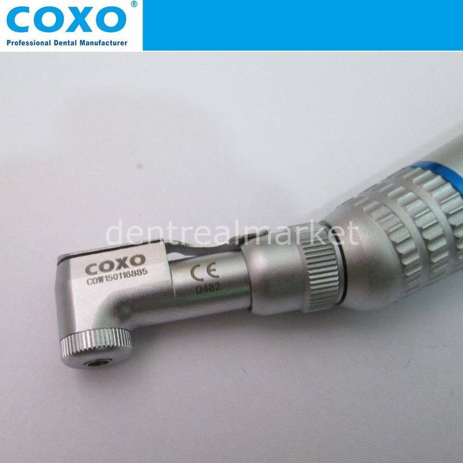 Coxo - Blue Belt Contra - angle Latch