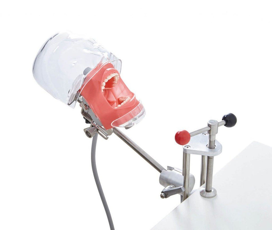 Dentreal - Dental Simulator Phantom Head Model for Education Dentist Training Practice