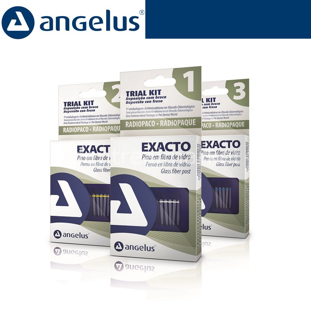 Angelus - Exacto Fiber Post Trial Kit