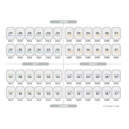 Dentreal - Kids Dental Crown Primary Molar Intro Kit (48 Crowns)