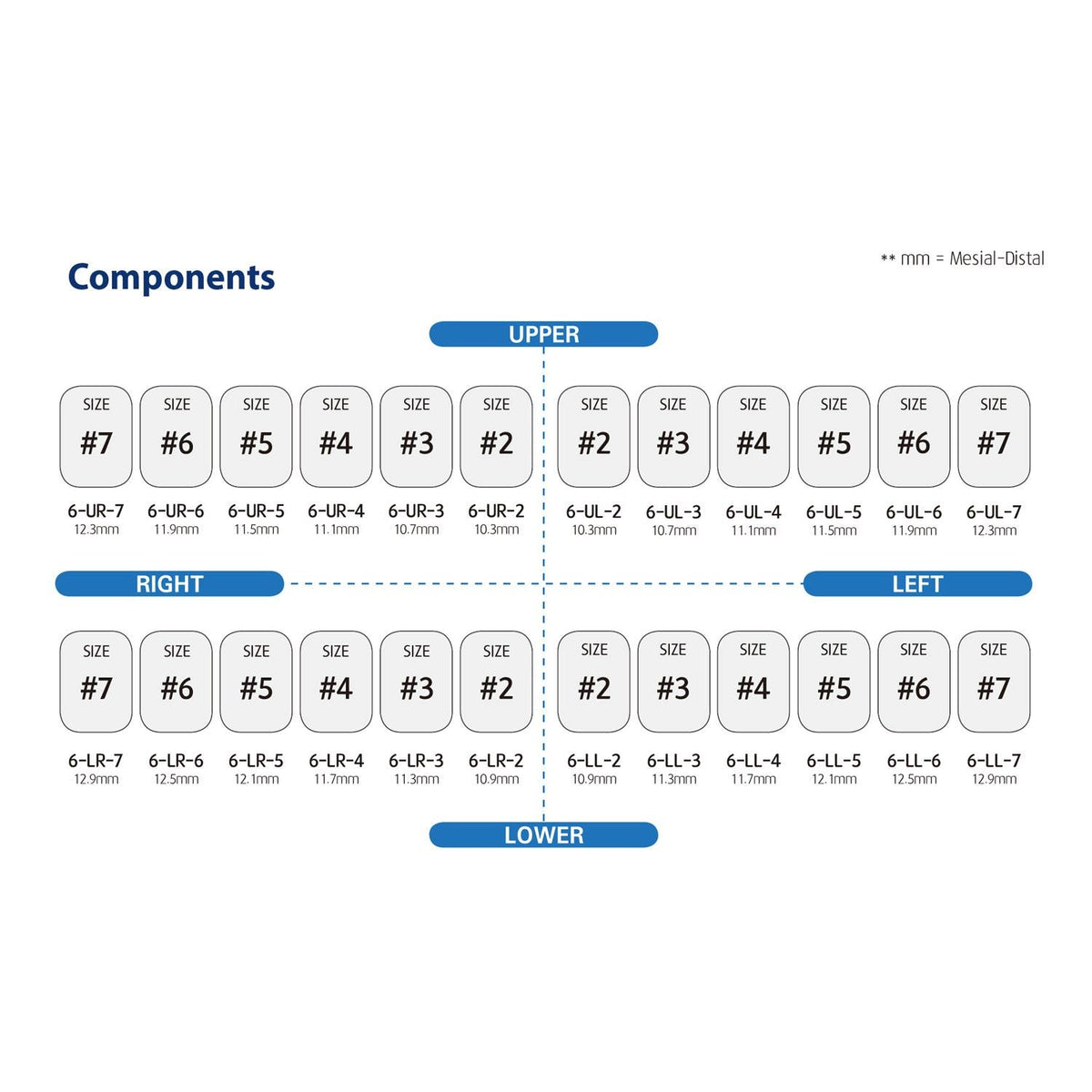 Dentreal - Perma Crown Permanent Molar Crown Kit (24 Crowns)