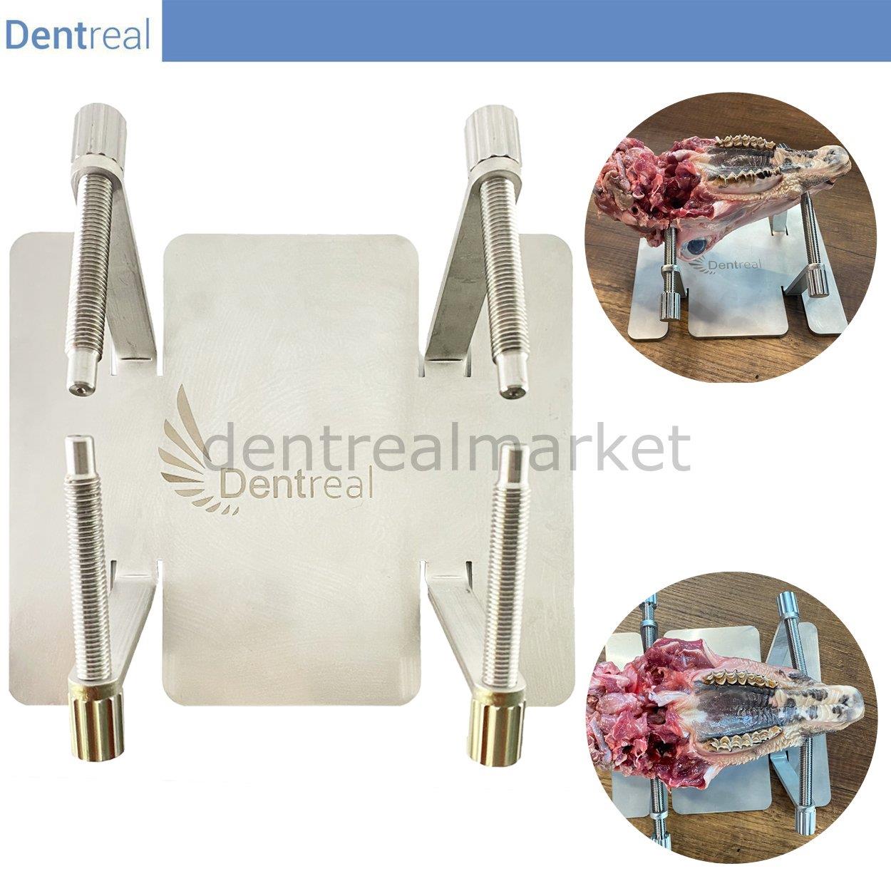 Dentreal - Surgical Training Bench - Surgical Vise - Stainless Steel Surgical Holder