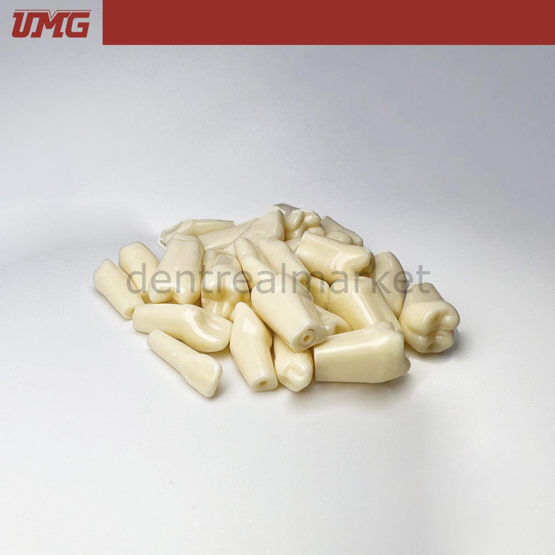 Umg Dental - UM - C4 Permanent Teeth With Straight Roots