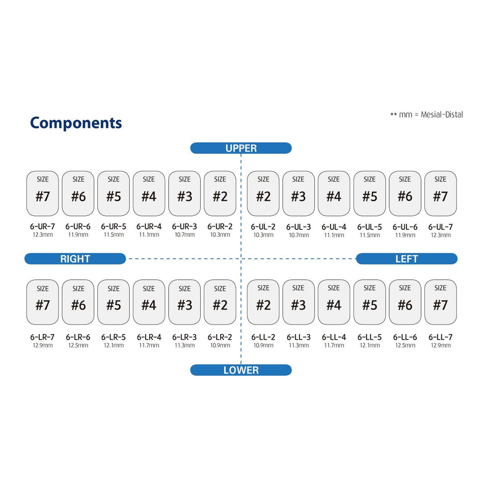 Perma Crown Permanent Molar Crown Kit (24 Crowns)